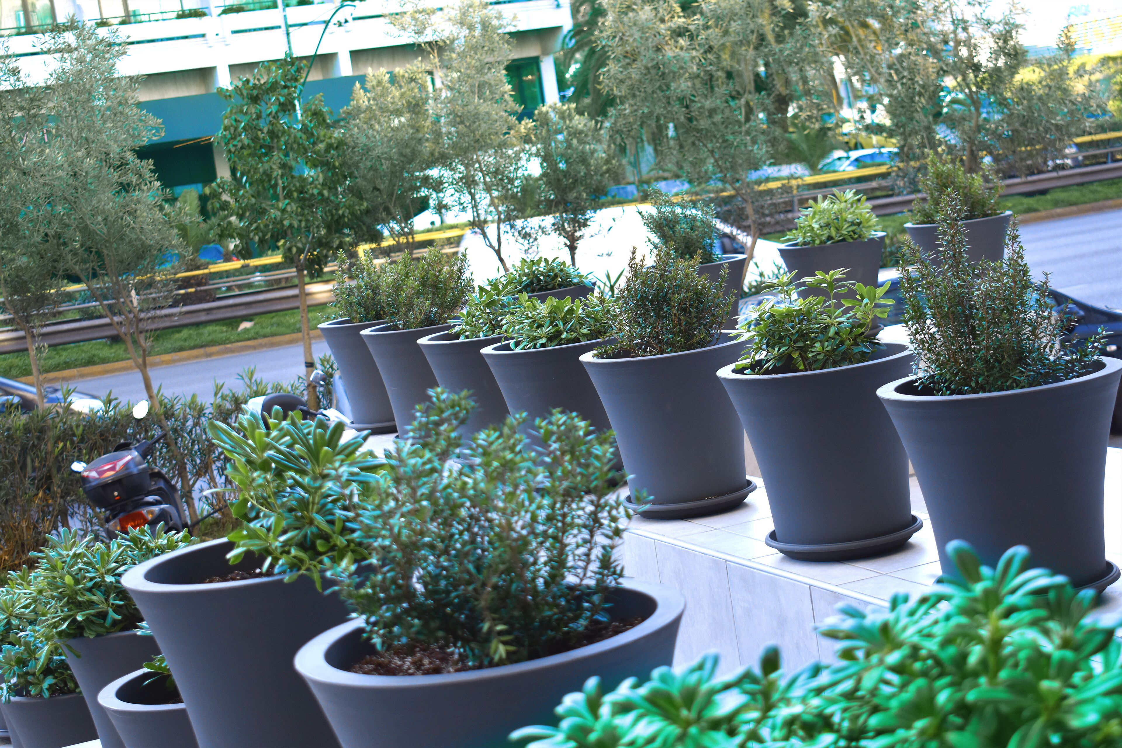 Foto - Athenian Montaza Hotel