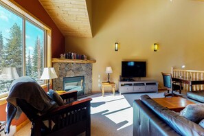 Televisie, een open haard, een dvd-speler en boeken