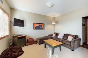 TV, fireplace, video games, DVD player