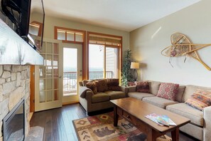 电视、壁炉、电子游戏、DVD 播放器