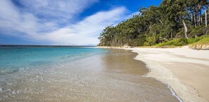 A beach with clear turquoise water, sandy shore, and dense green trees.