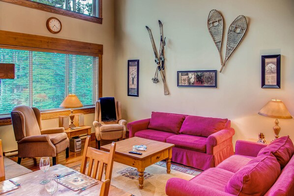 TV, fireplace, video games, DVD player