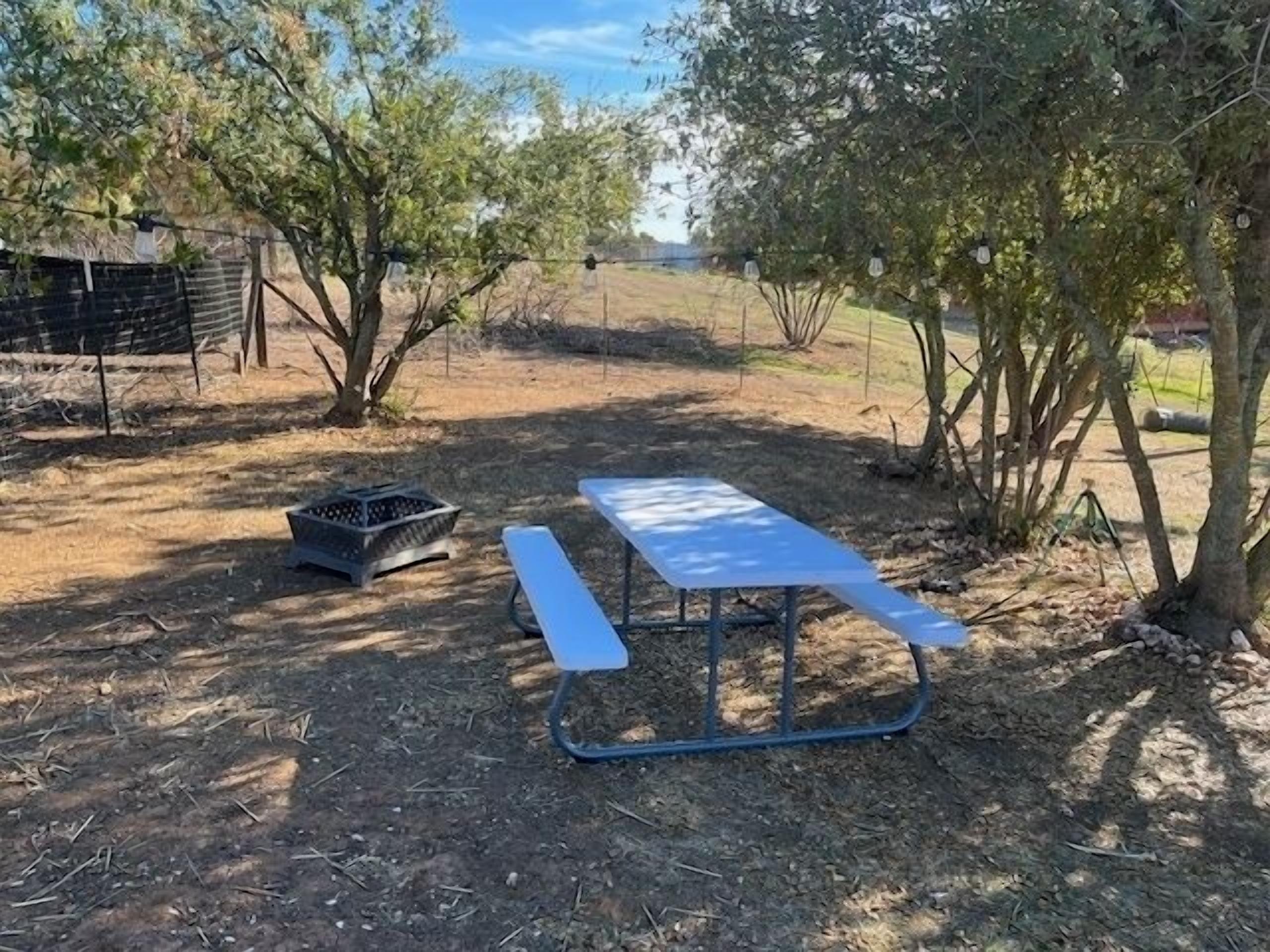 Un tavolo da picnic in un ambiente rurale, con alberi e una recinzione sullo sfondo.
