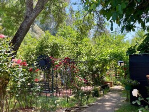 Property grounds - Cozy Vintage small Rustic Rose Cottage w 3 private Bedroom’s (Ione)