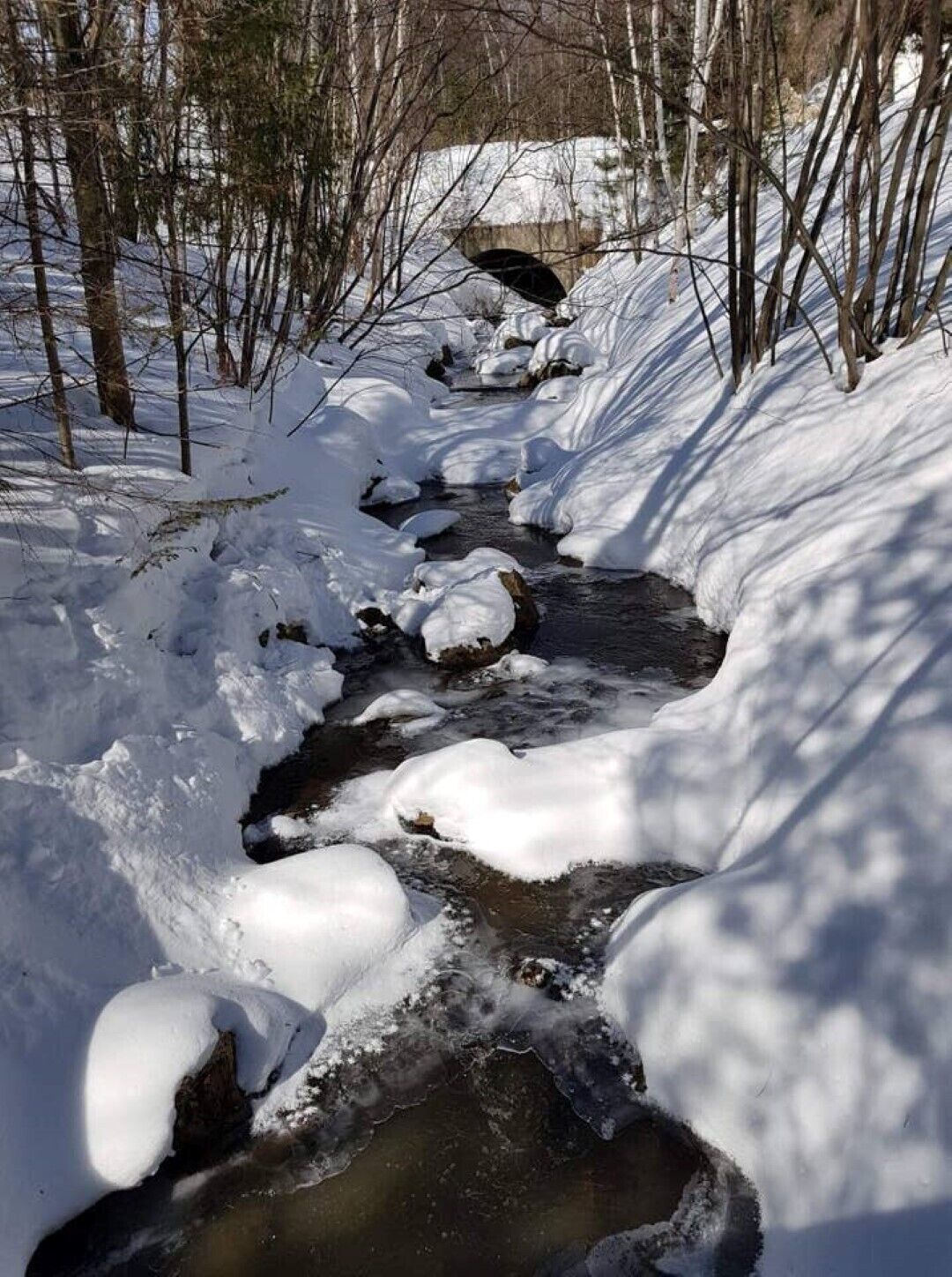 A snow-covered stream in a forested area with bare trees.