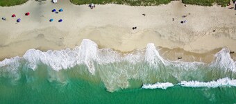 롱보드 파라다이스 스위트