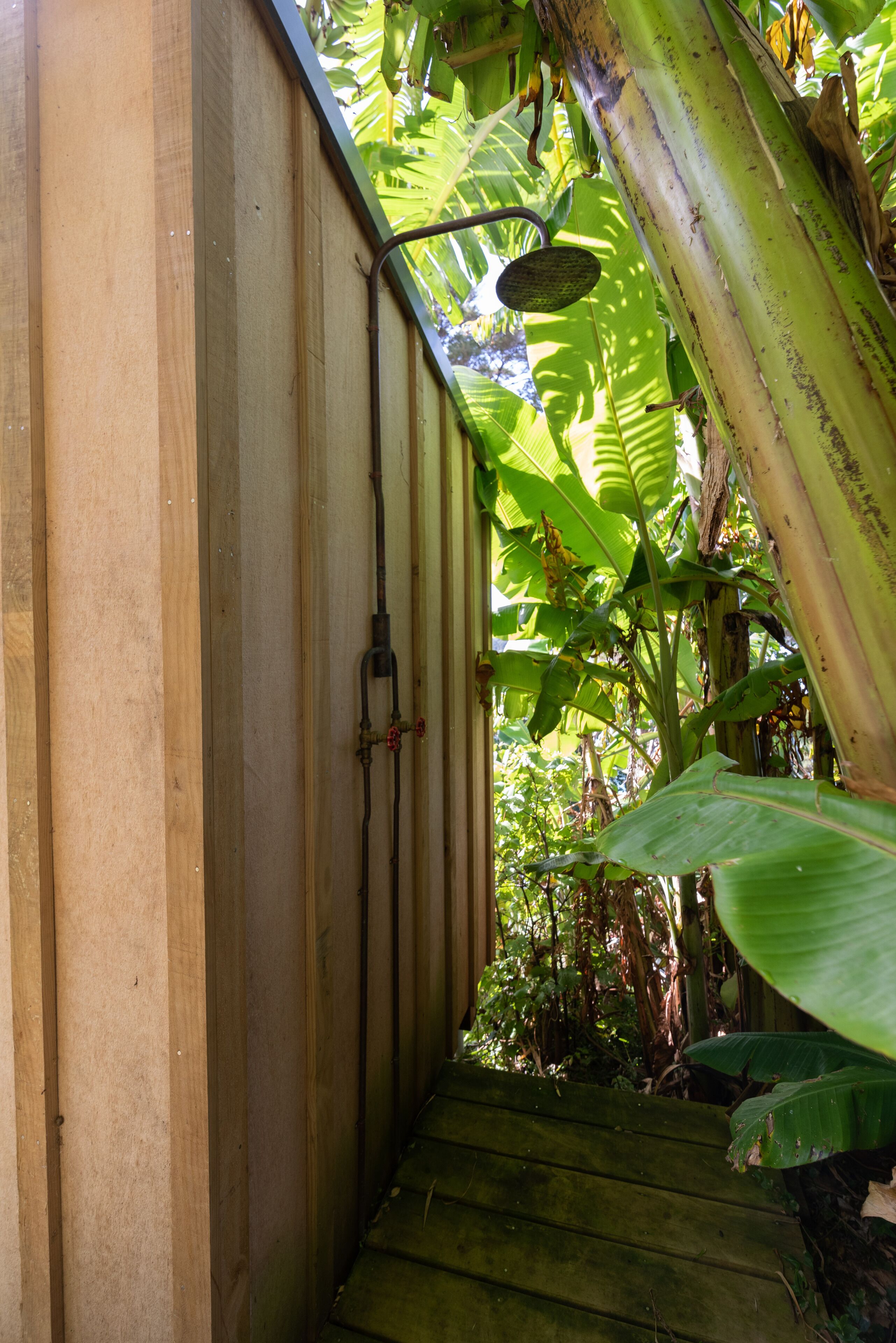 Una escalera de madera que conduce a una zona cubierta con techo de metal, rodeada de exuberante follaje verde.