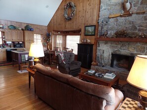 TV, fireplace, DVD player, books