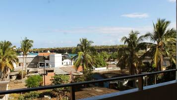 Zona residencial con casas y palmeras, vista desde un balcón con barandilla de metal.