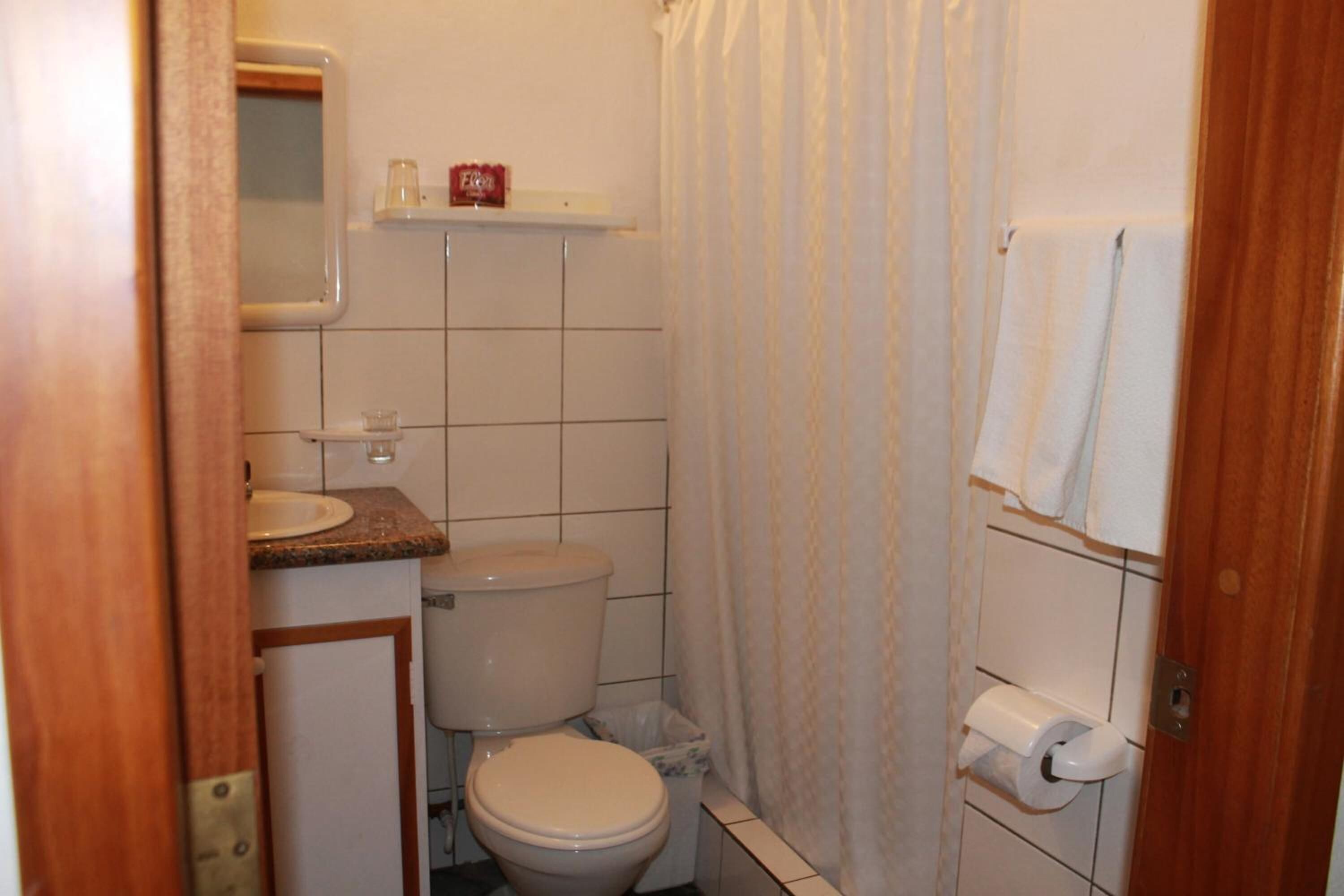 Un baño pequeño con inodoro, lavamanos y cortina de ducha.