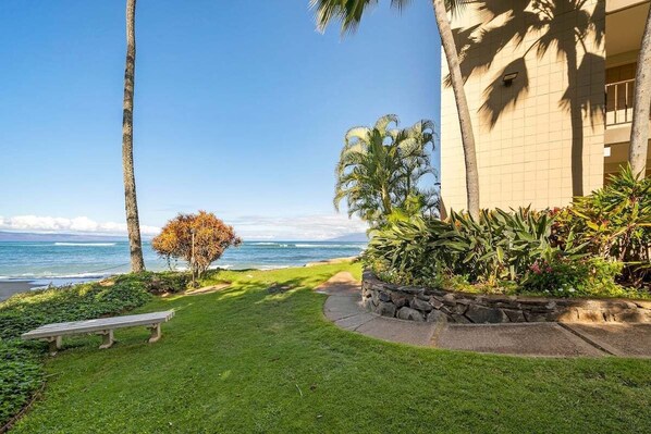 A coastal view with a bench, palm trees, and a building with a stone retaining wall.