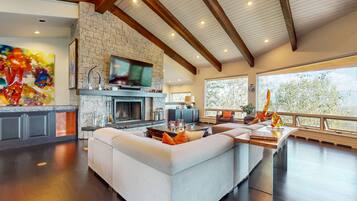 Télévision, cheminée, livres, chaßne hi-fi