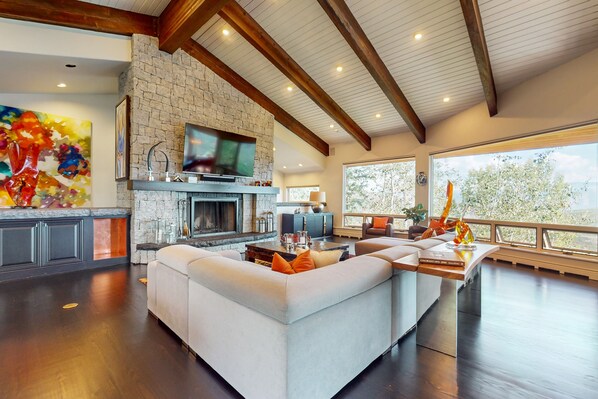 TV, fireplace, books, stereo