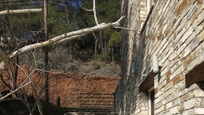Un mur de pierre avec un chemin pavé de briques menant à une porte en bois.