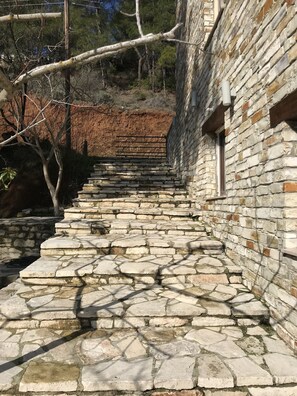 Property grounds - Jasmin.LUXURY HOUSE-,Troodos Mountains,forest (limasol pera pedi)