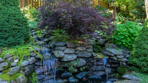 A garden with a small waterfall, stone wall, and various plants. - Chipmunk View Lodge - Amazing views, hot tub, and manmade waterfall! (Blowing Rock)