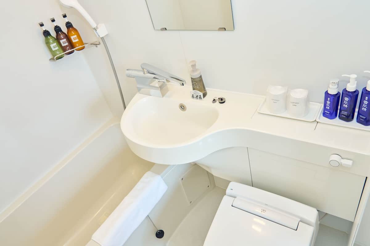 combined shower/bathtub, free toiletries, hair dryer, slippers