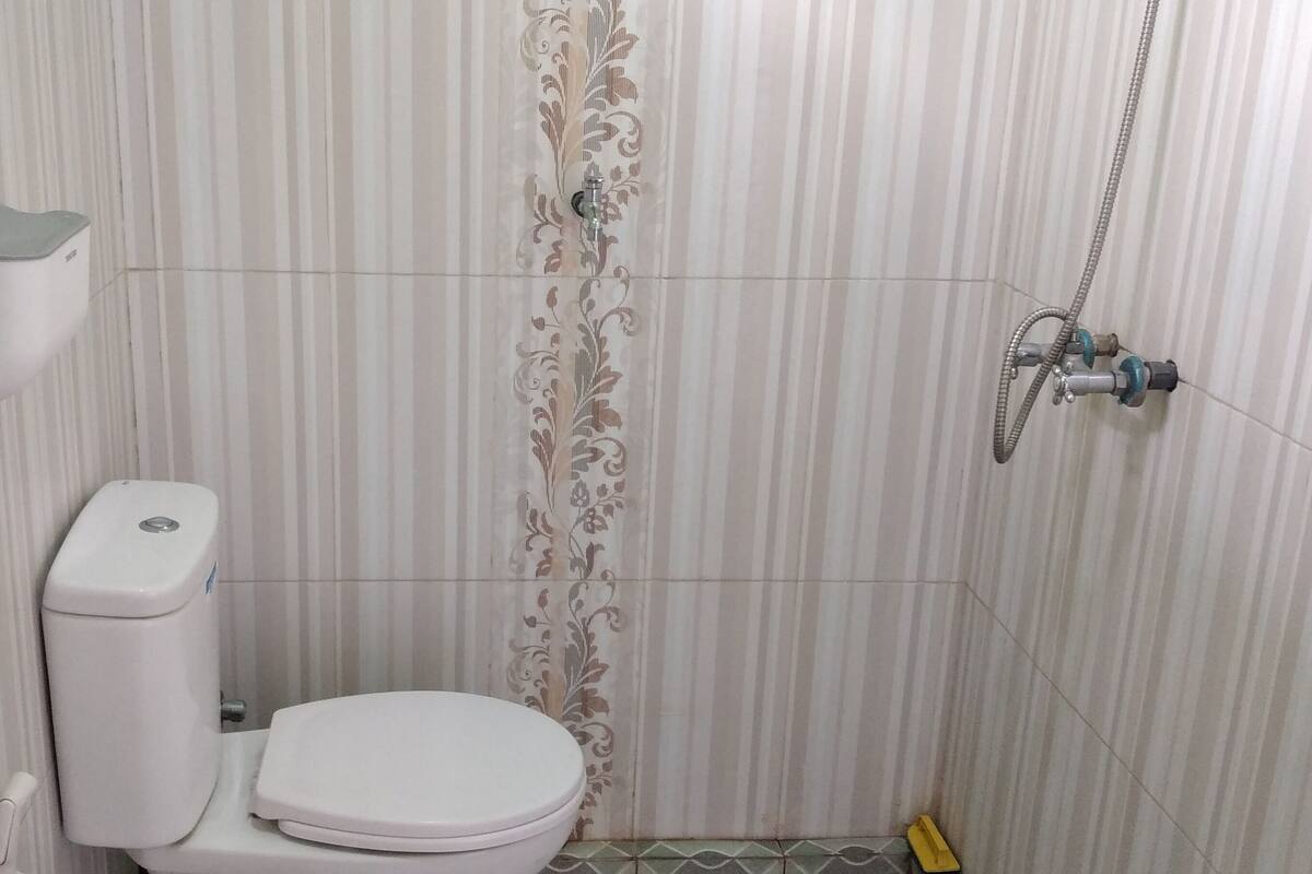 A small bathroom with a toilet, a shower, and a toilet paper holder.