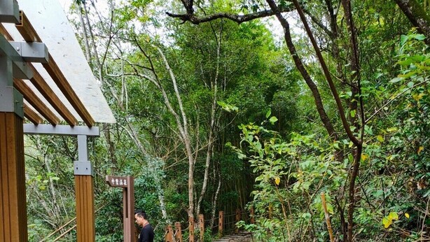 Un sendero de madera que atraviesa un área boscosa, con una estructura de madera a la izquierda.