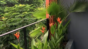 Un balcon agrémenté de diverses plantes, notamment des fougères et un palmier.
