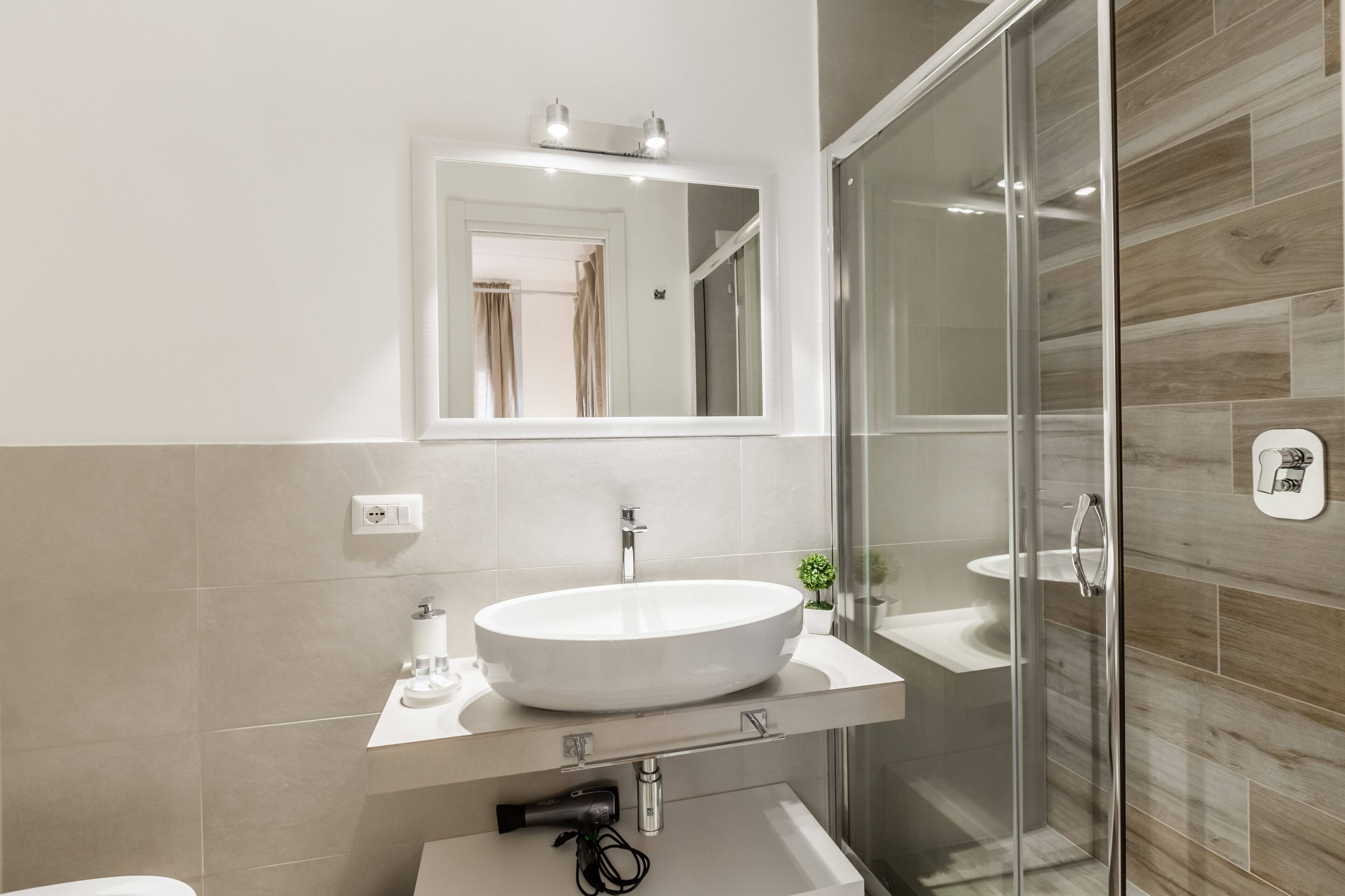 Une salle de bain moderne avec un grand lavabo ovale, un miroir, une douche en verre et une petite plante en pot.