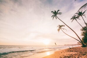 Beach nearby - Sea Cloud Hotel (Unawatuna)