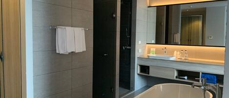 Une salle de bain moderne dotée d’une grande baignoire, d’une douche à l’italienne et d’un meuble-lavabo avec miroir.
