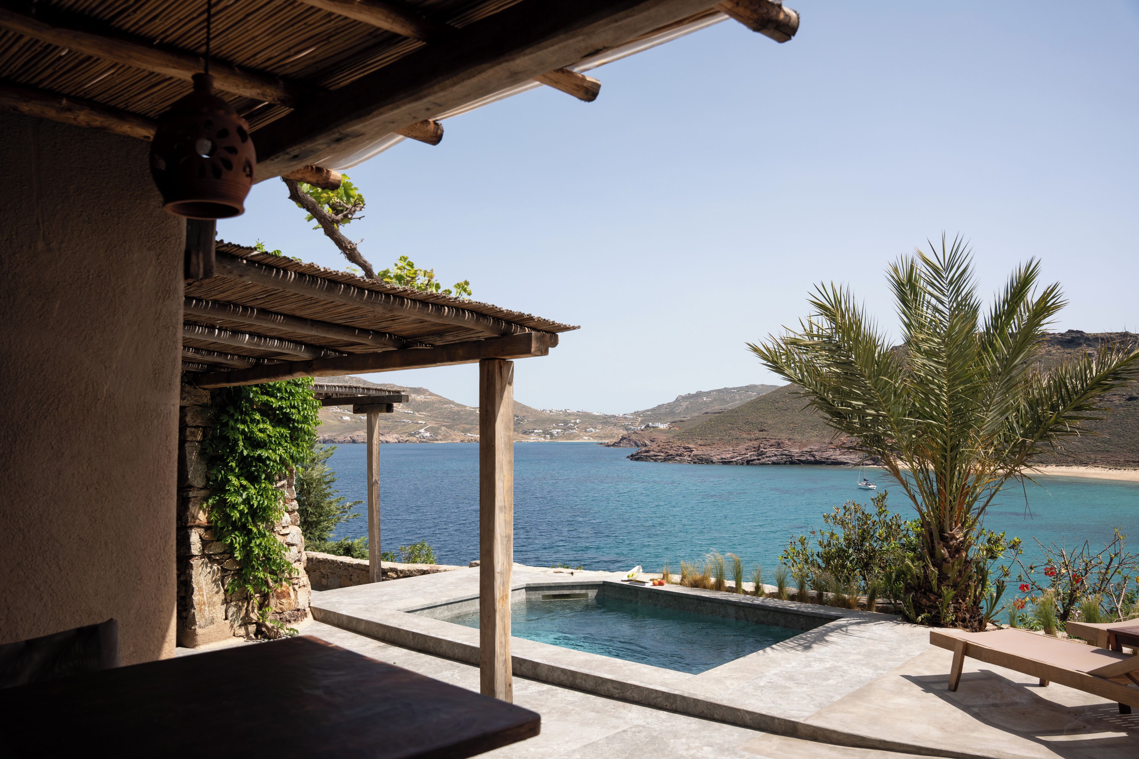 A pool area with a view of the sea, a pergola, and a palm tree.