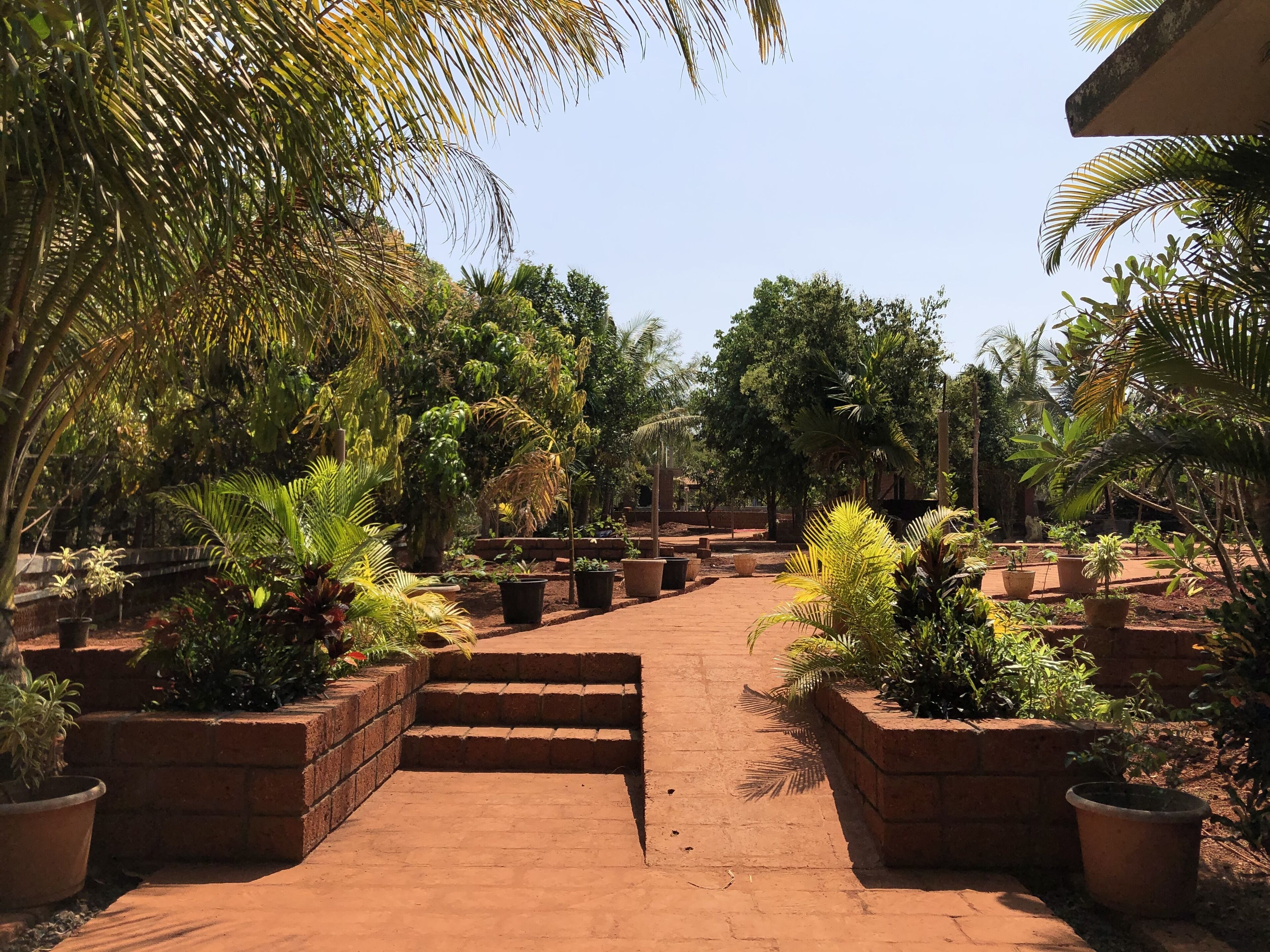 Garden view