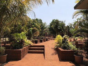 Pemandangan taman