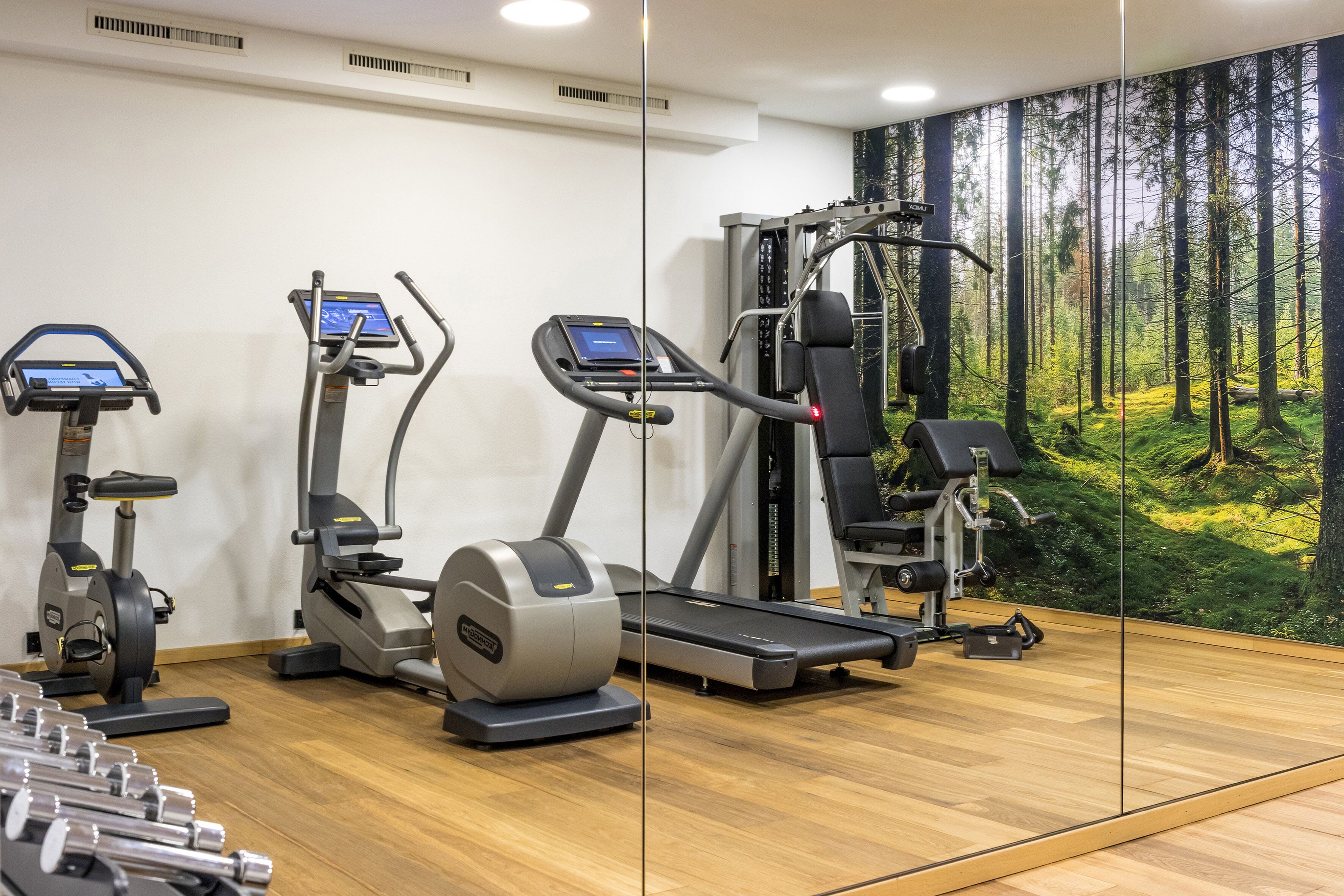 A gym with treadmills, elliptical machines, and weightlifting equipment.