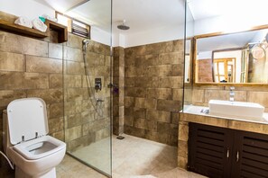 Shower, free toiletries, towels, soap - Balishira Resort (Kamalganj)