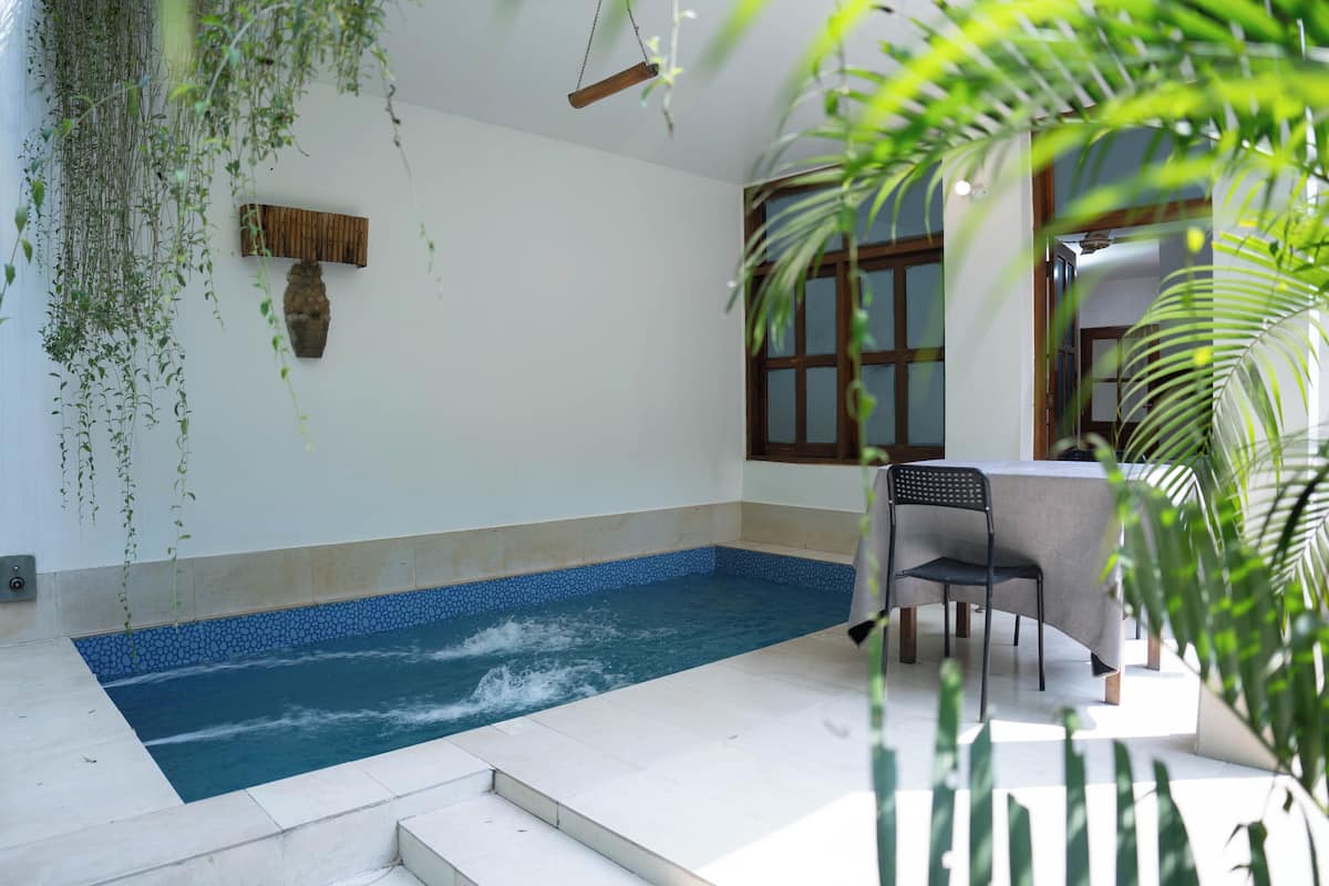 A swimming pool with a tiled edge, a wooden bench, and hanging plants.