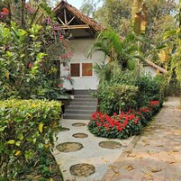 Uma casa com telhado de palha, rodeada por vegetação exuberante e um caminho de pedra que leva à entrada.