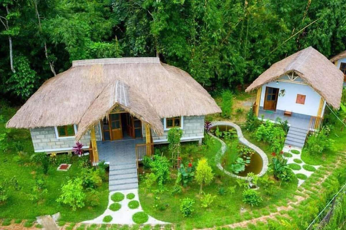 Two thatched-roof cottages surrounded by lush greenery, with a garden path leading to each house.