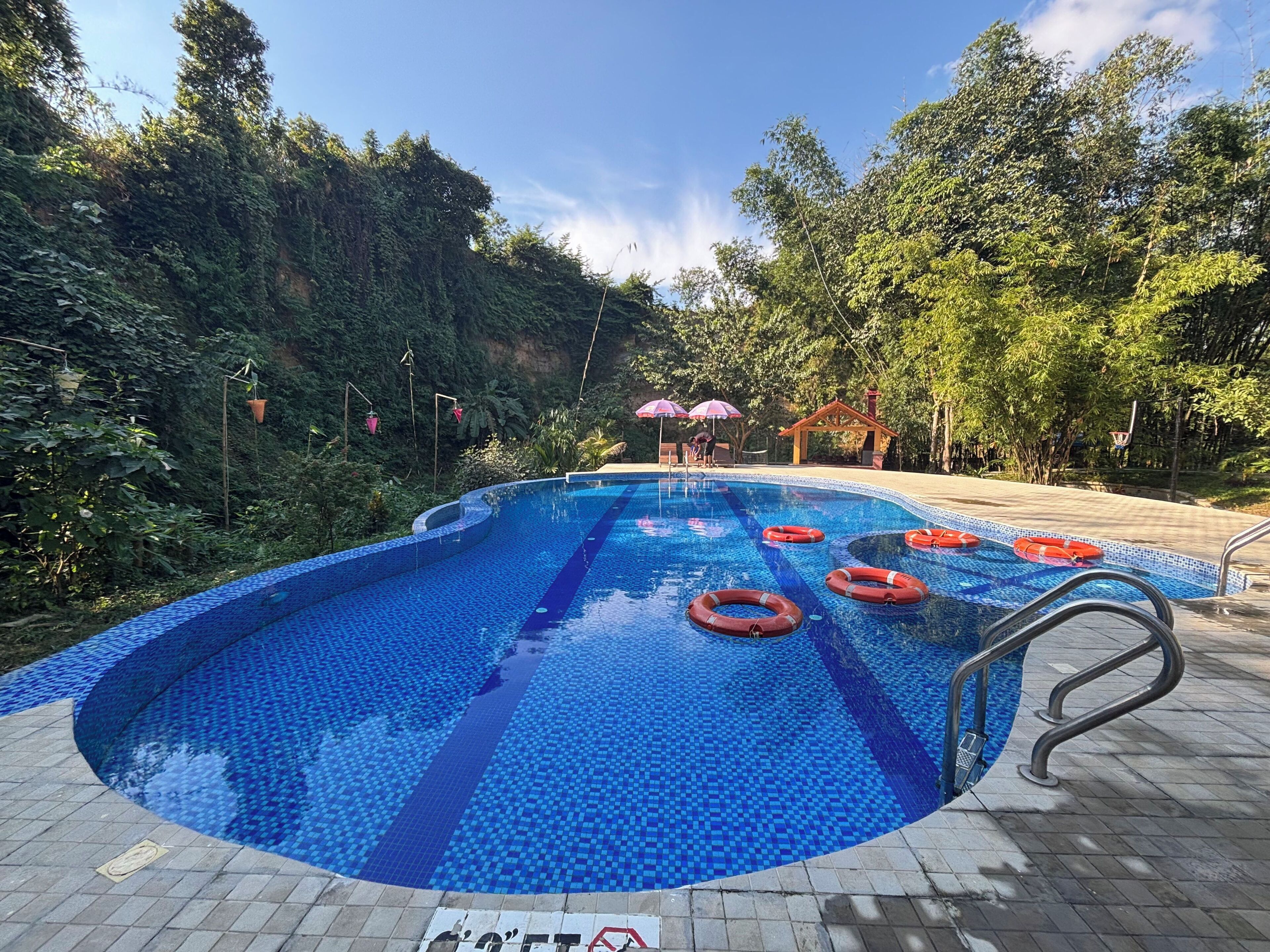 A swimming pool with blue mosaic tiles, surrounded by lush greenery and trees.