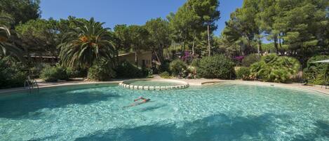 حمّام سباحة خارجي موسمي، مفتوح من 10 صباحاً إلى 7 مساءً، مقاعد للتشمس