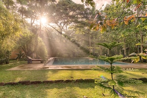 Un área de piscina tranquila al aire libre rodeada de exuberante vegetación y árboles, con una vista despejada del cielo.