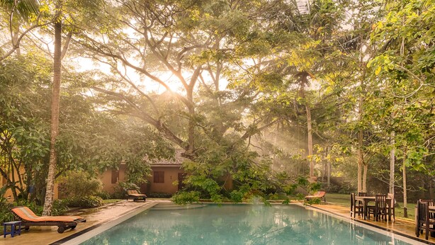 Una piscina rodeada de abundante vegetación y árboles, con sillas de descanso y una pequeña construcción cerca.