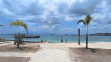 A beach with palm trees, a clear sky, and a calm sea.