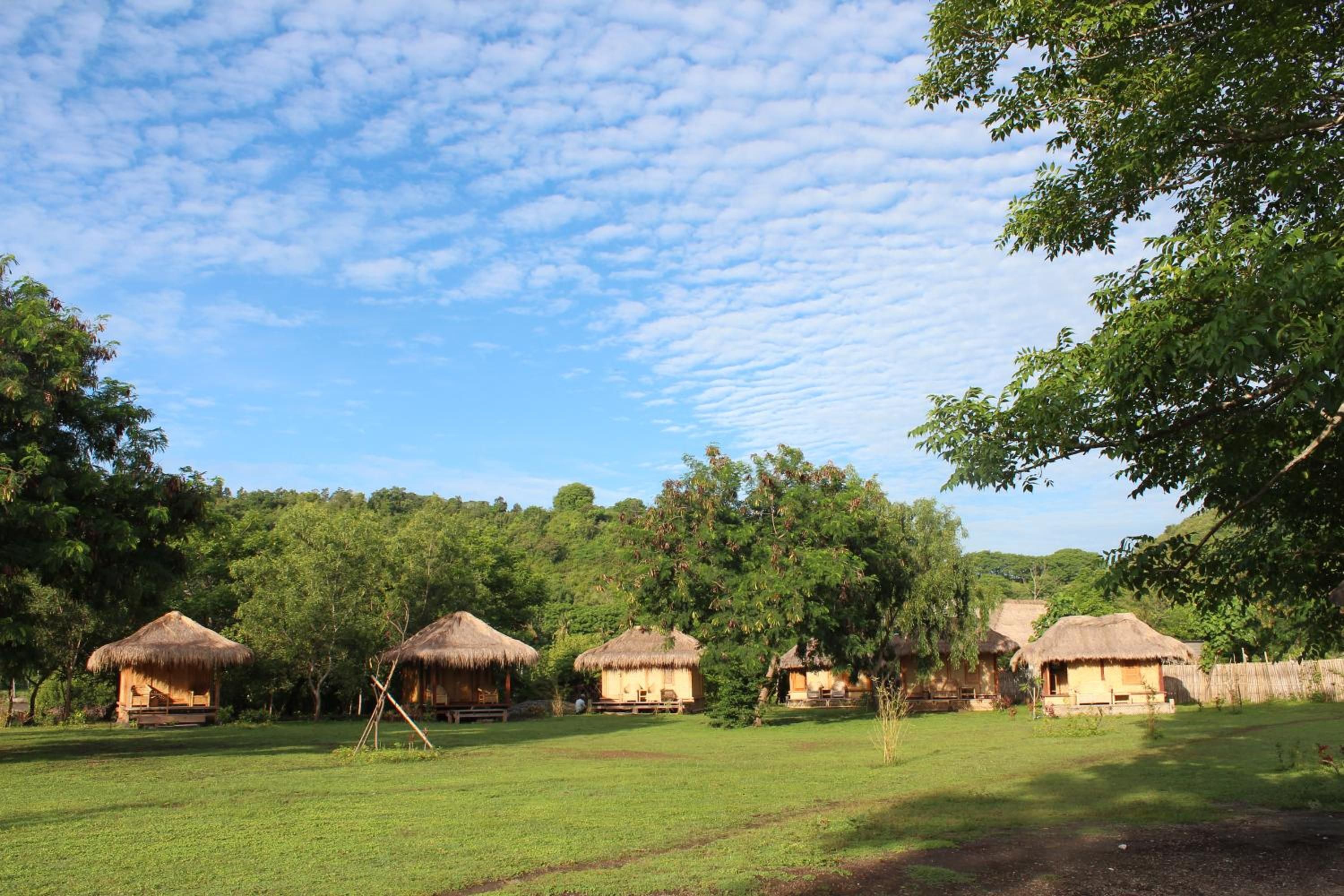 A rural setting with thatched-roof huts, a grassy field, and dense trees in the background.
