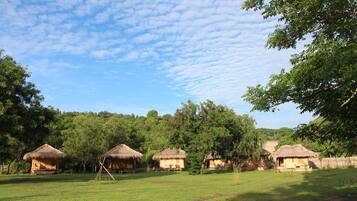 A rural setting with thatched-roof huts, a grassy field, and dense trees in the background.