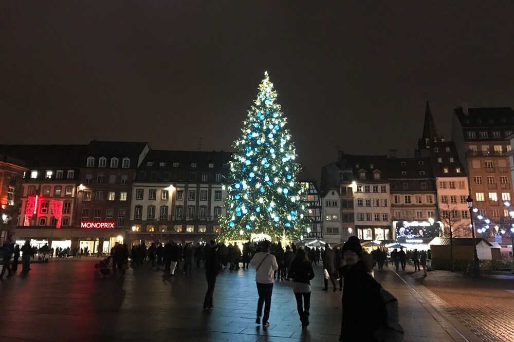 Small cozy nest in the heart of Strasbourg!