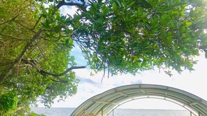 A wooden deck with a metal canopy overlooking a body of water. - Tramonto Lagoon Resort (Seeduwa - Katunayake)