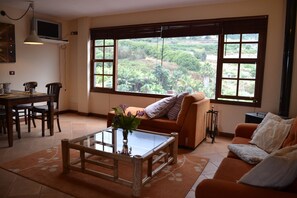 Fernseher, Kamin, Bücher