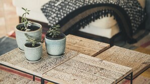 Een woonkamer met een bank, decoratieve kussens en een salontafel met plantenpotten.
