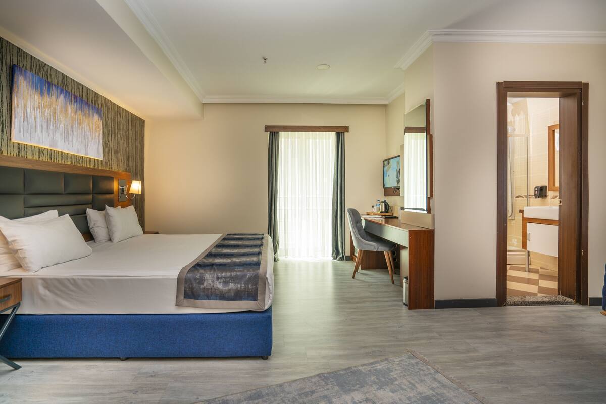 A hotel room with a large bed, a desk, and a shower area.
