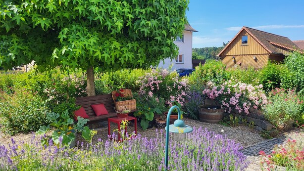 A garden with a bench, a tree, and a house in the background.