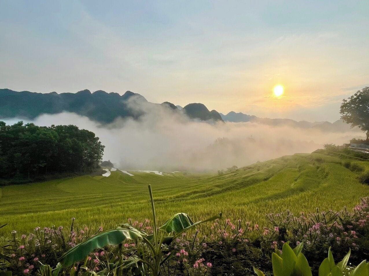 A landscape with a sunrise, green fields, and mountains in the distance.
