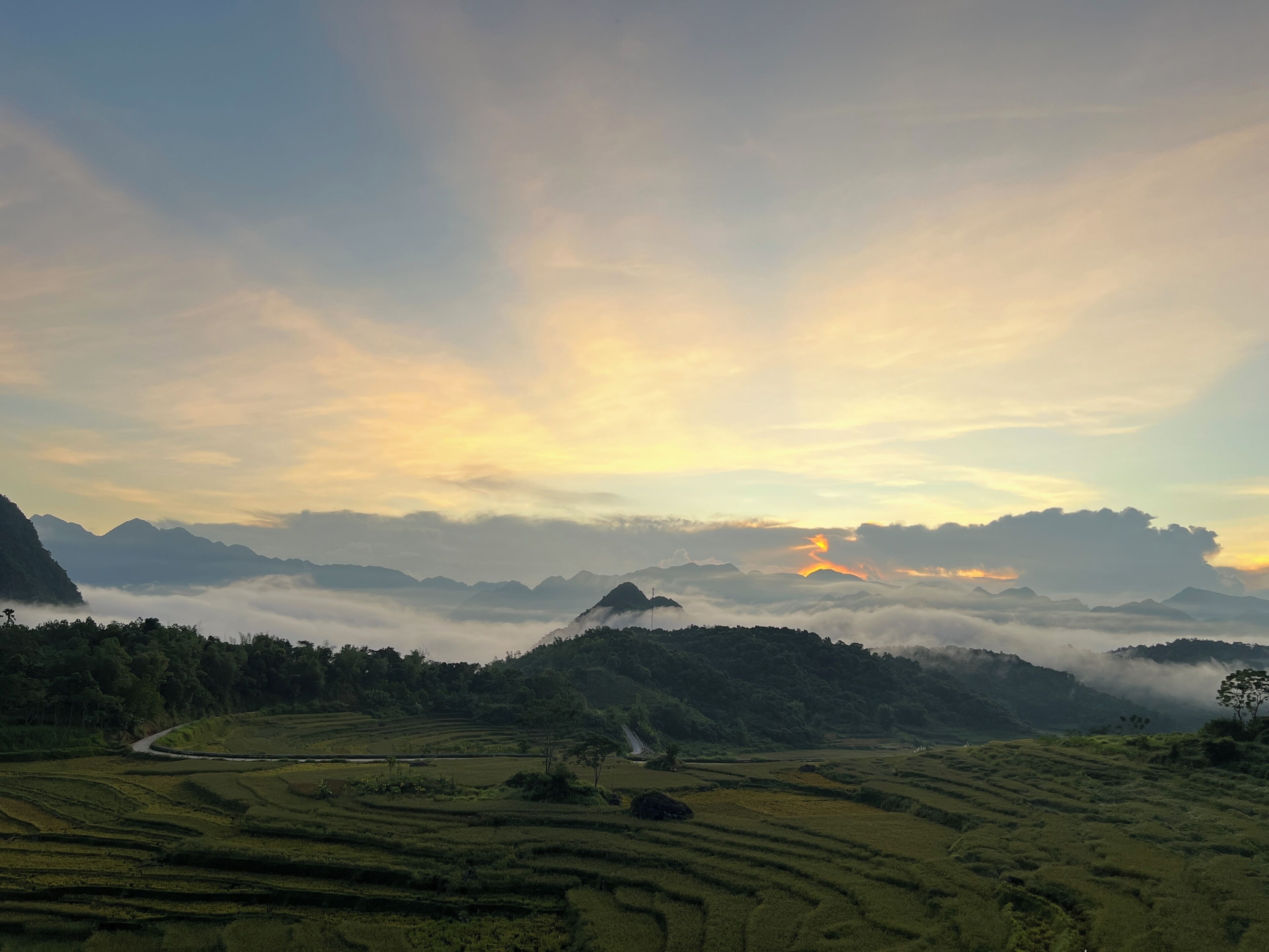 A landscape with terraced fields and a mountain range in the background.